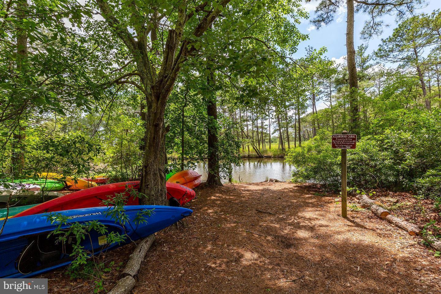 421 Black Gum Drive, South Bethany Property Listing